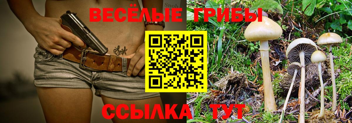 что такое наркотик  Галлюциногенные грибы прущие грибы  Вход с VPN  Тольятти  Псилоцибиновые грибы MAGIC MUSHROOMS 